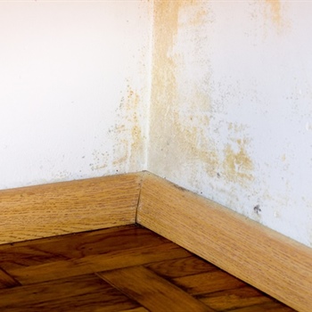 What Are the Long-Term Effects of Water Damage on Building Structures?