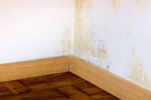 What Are the Long-Term Effects of Water Damage on Building Structures?