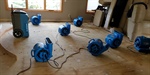 What to Do Immediately After Water Damage in Your Home
