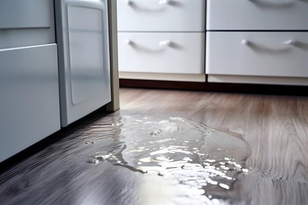 What Are the Steps Involved in Structural Drying After Water Intrusion?