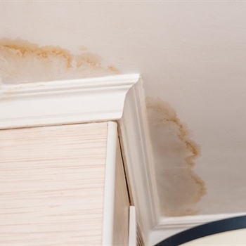 How Does Water Spread Through Walls, Flooring, and Insulation After a Leak or Flood?