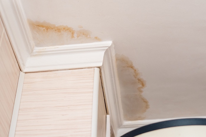 How Does Water Spread Through Walls, Flooring, and Insulation After a Leak or Flood?