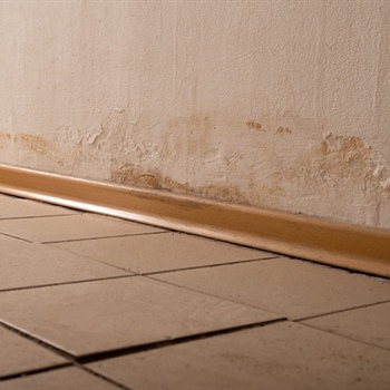 How Does Trapped Moisture Behind Walls Lead to Long-Term Structural Damage?