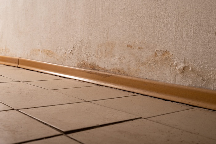 How Does Trapped Moisture Behind Walls Lead to Long-Term Structural Damage?