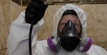 What Happens During Mold Remediation?