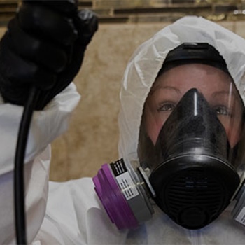 What Happens During Mold Remediation?