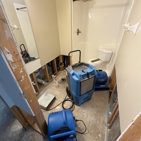 Bathroom demolition and structural drying after septic backup contaminated the subfloor and framing